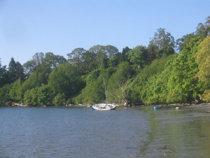 gal/2006-05-05 Careening/IMG_3124.jpg